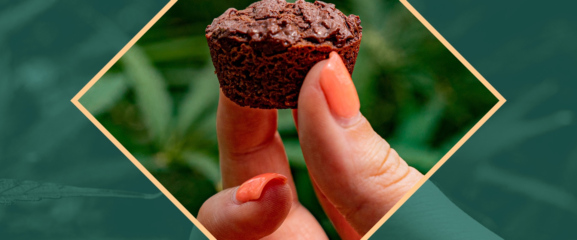 Dosing Guidelines for Edibles and Concentrates: What You Need to Know